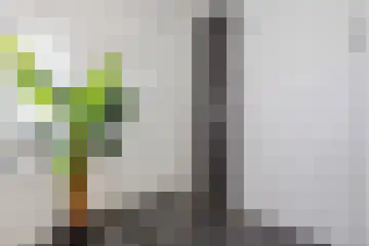 Nieuwe Daalakker 8 Bavel thumbnail 61