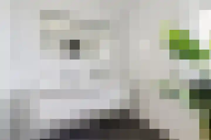 Nieuwe Daalakker 8 Bavel thumbnail 62
