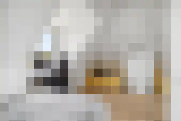 Nieuwe Daalakker 8 Bavel thumbnail 66