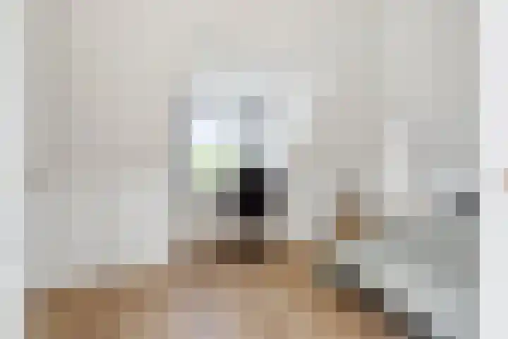 Nieuwe Daalakker 8 Bavel thumbnail 67