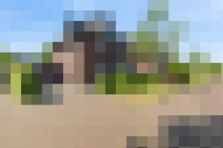 Nieuwe Daalakker 8 Bavel thumbnail 7