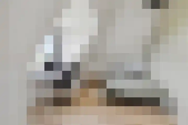 Nieuwe Daalakker 8 Bavel thumbnail 70