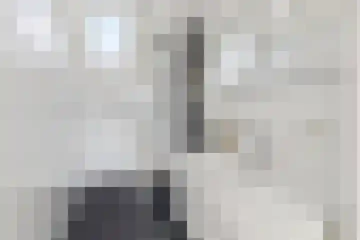 Nieuwe Daalakker 8 Bavel thumbnail 71