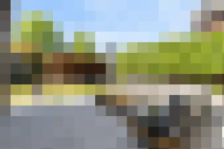 Nieuwe Daalakker 8 Bavel thumbnail 73