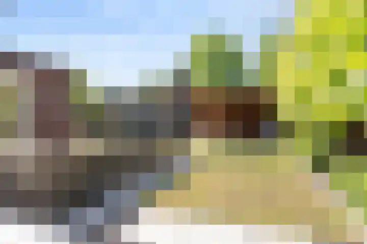 Nieuwe Daalakker 8 Bavel thumbnail 74