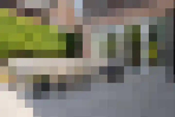 Nieuwe Daalakker 8 Bavel thumbnail 75