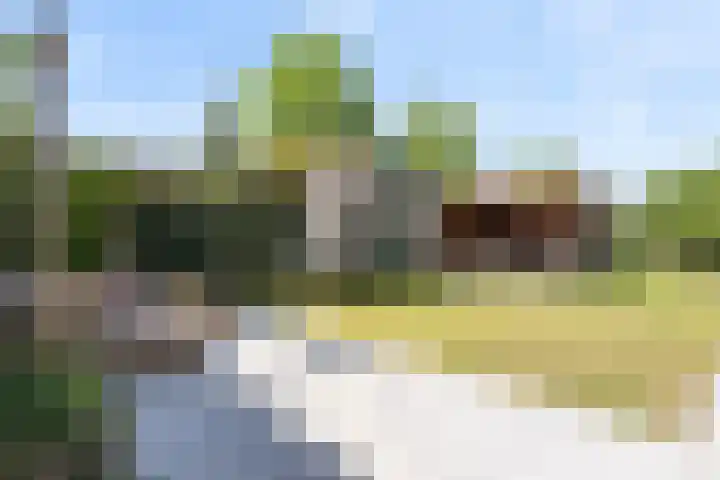 Nieuwe Daalakker 8 Bavel thumbnail 76