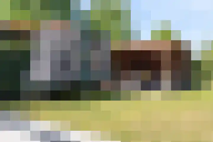 Nieuwe Daalakker 8 Bavel thumbnail 77
