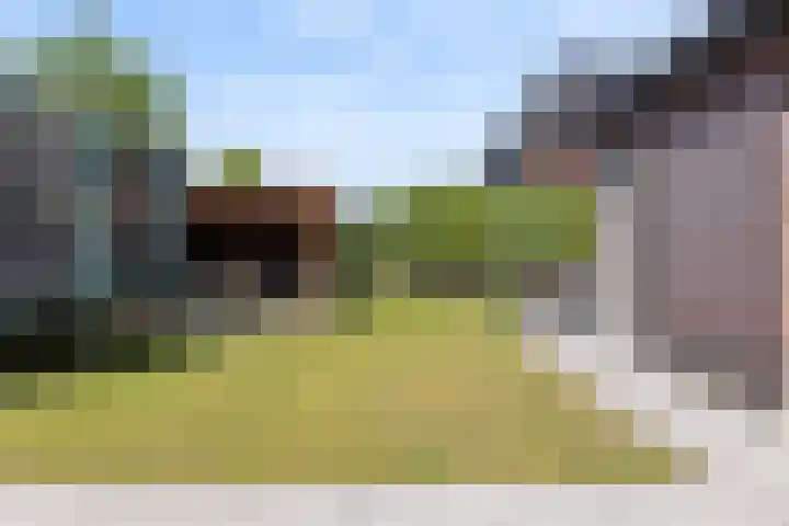 Nieuwe Daalakker 8 Bavel thumbnail 78