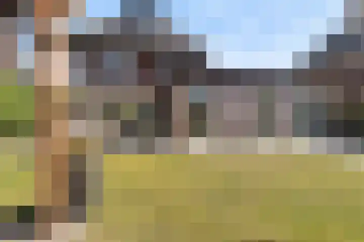 Nieuwe Daalakker 8 Bavel thumbnail 80