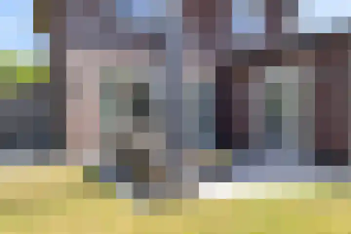 Nieuwe Daalakker 8 Bavel thumbnail 81