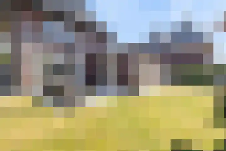 Nieuwe Daalakker 8 Bavel thumbnail 82