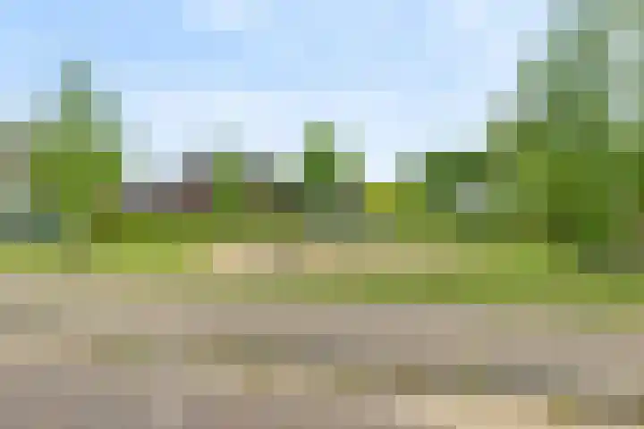 Nieuwe Daalakker 8 Bavel thumbnail 83
