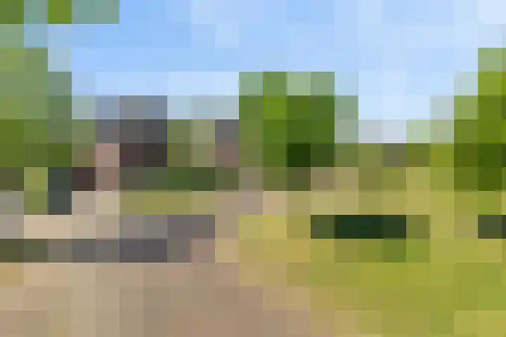 Nieuwe Daalakker 8 Bavel thumbnail 9