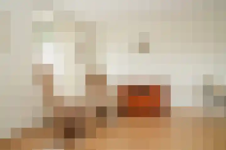 Nieuwe Dam 11 b Ochten thumbnail 17
