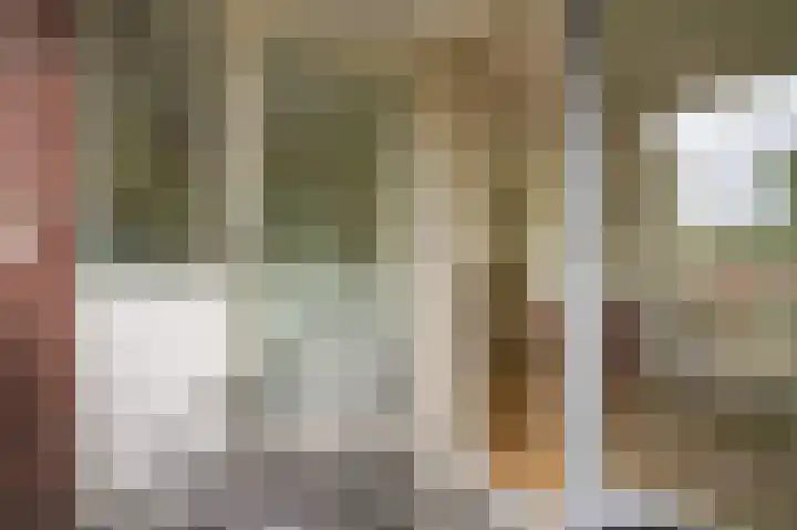 Nieuwe Dam 11 b Ochten thumbnail 19