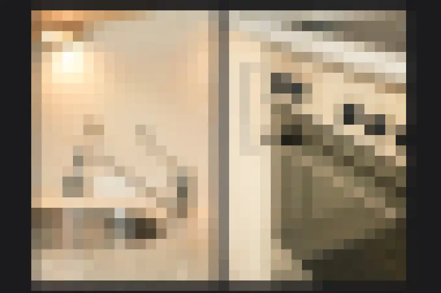 Nieuwe Dam 11 c Ochten thumbnail 16