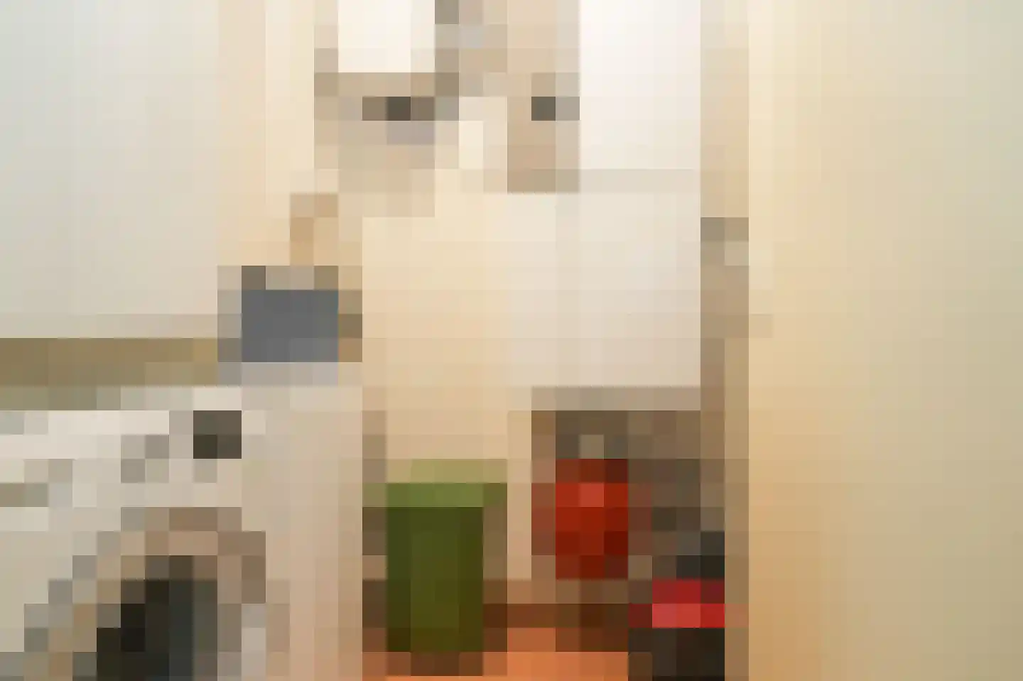 Nieuwe Dam 11 c Ochten thumbnail 22