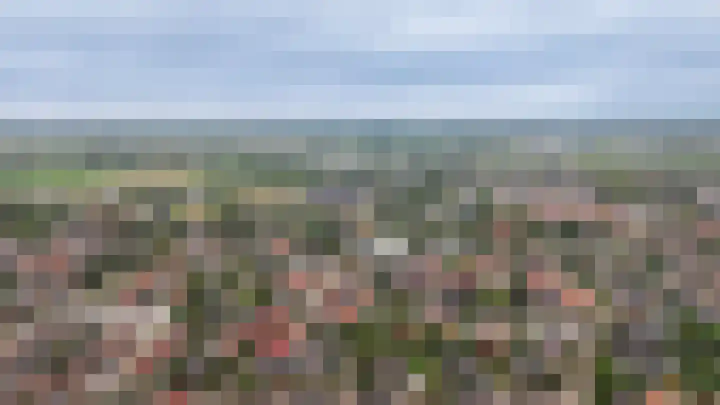 Nieuwe Dam 11 c Ochten thumbnail 31