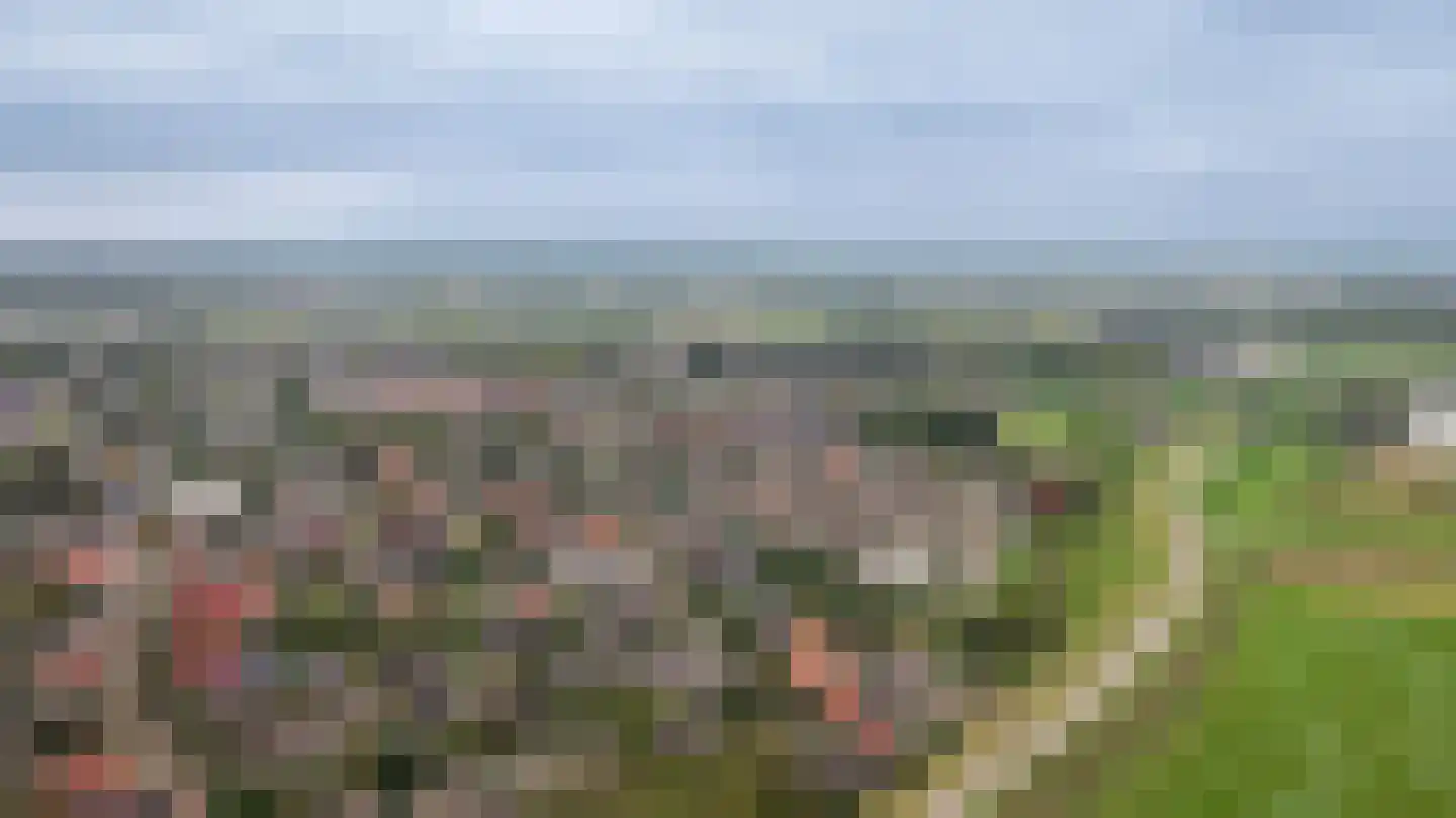Nieuwe Dam 11 c Ochten thumbnail 32