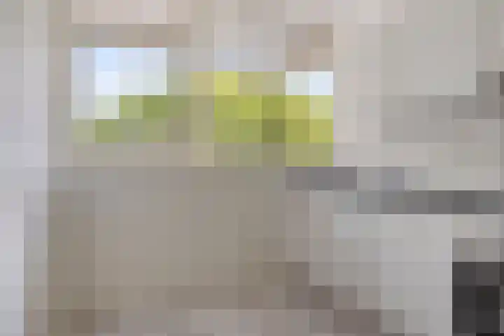 Nieuwe Damlaan 413 Schiedam thumbnail 10