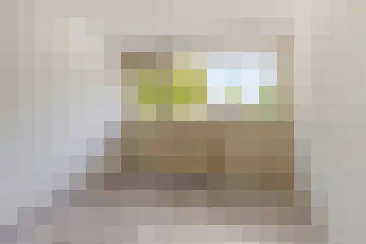 Nieuwe Damlaan 413 Schiedam thumbnail 12