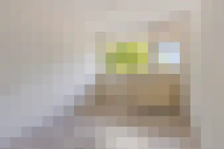 Nieuwe Damlaan 413 Schiedam thumbnail 13