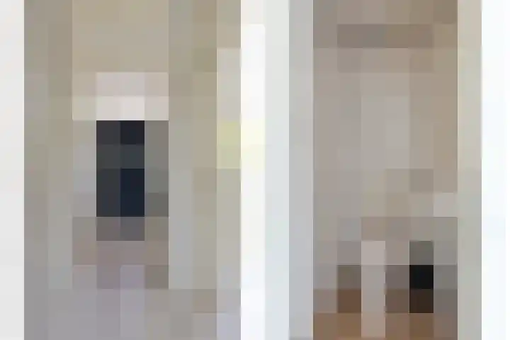 Nieuwe Damlaan 413 Schiedam thumbnail 19