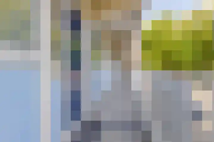 Nieuwe Damlaan 413 Schiedam thumbnail 20
