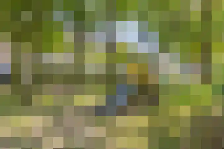 Nieuwe Damlaan 413 Schiedam thumbnail 25
