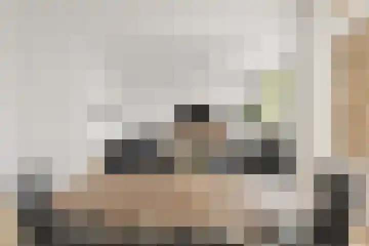 Nieuwe Damlaan 413 Schiedam thumbnail 5