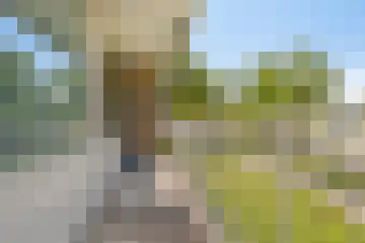 Nieuwe Damlaan 413 Schiedam thumbnail 6