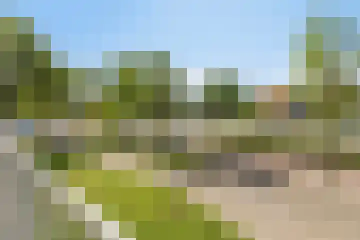 Nieuwe Damlaan 413 Schiedam thumbnail 7