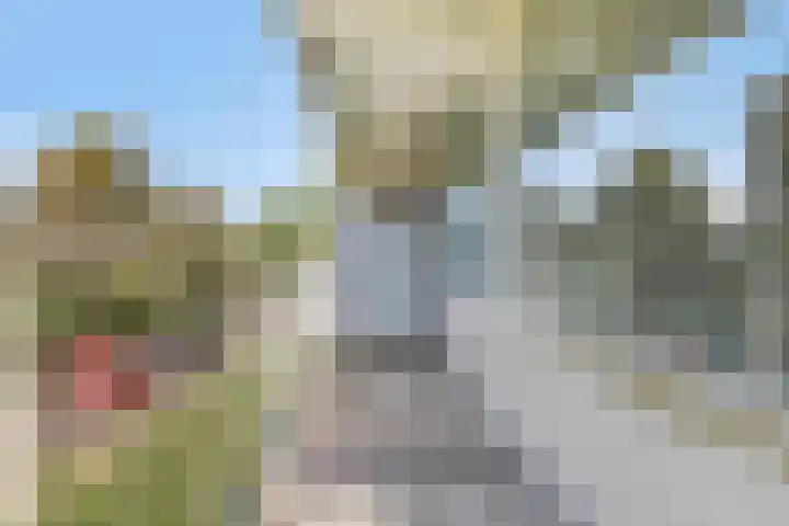 Nieuwe Damlaan 413 Schiedam thumbnail 8