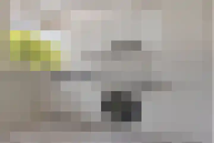 Nieuwe Damlaan 413 Schiedam thumbnail 9