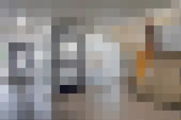 Nieuwe Damlaan 415 Schiedam thumbnail 14