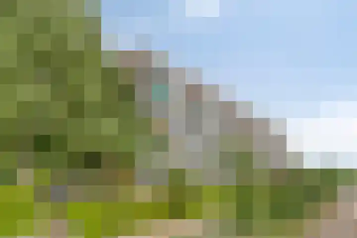 Nieuwe Damlaan 415 Schiedam thumbnail 17