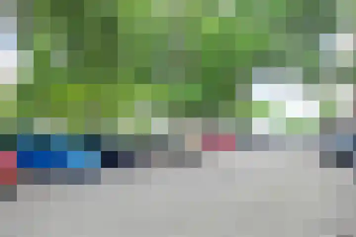 Nieuwe Damlaan 415 Schiedam thumbnail 18