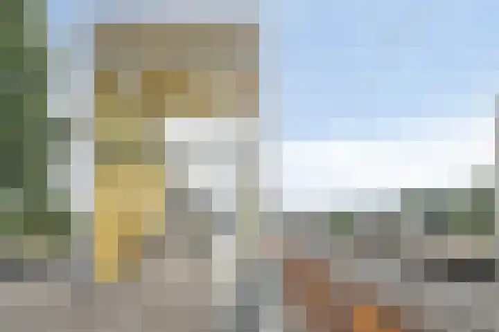 Nieuwe Damlaan 415 Schiedam thumbnail 19