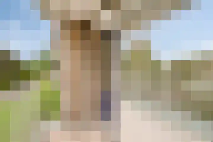 Nieuwe Damlaan 415 Schiedam thumbnail 5