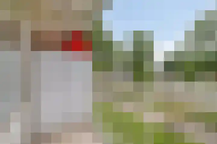 Nieuwe Damlaan 415 Schiedam thumbnail 6