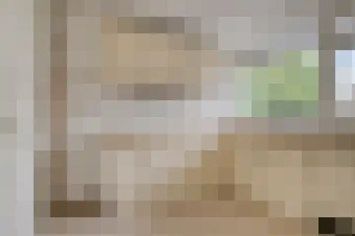Nieuwe Damlaan 415 Schiedam thumbnail 7