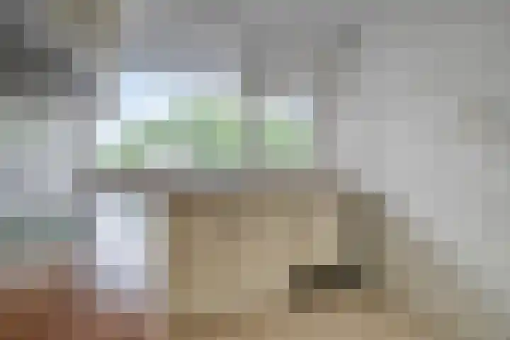 Nieuwe Damlaan 415 Schiedam thumbnail 9
