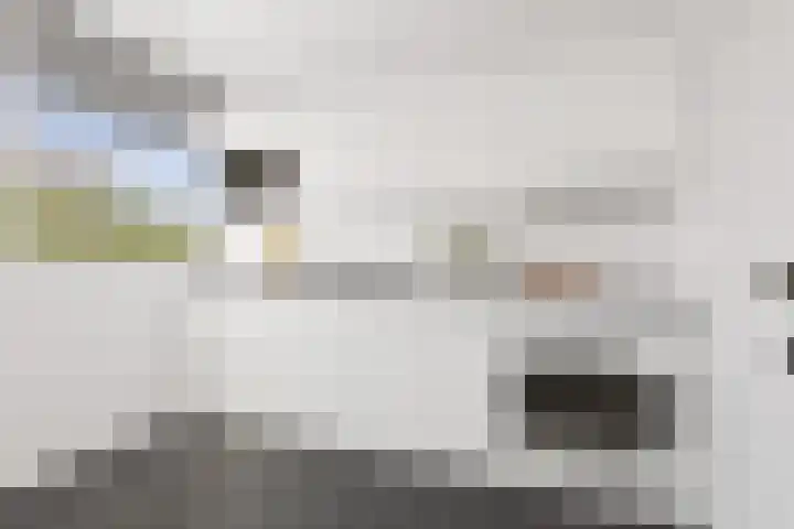 Nieuwe Damlaan 433 Schiedam thumbnail 10