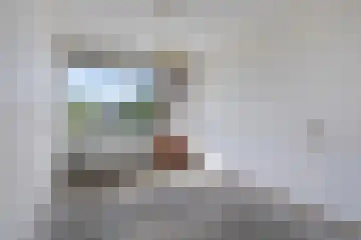 Nieuwe Damlaan 433 Schiedam thumbnail 12