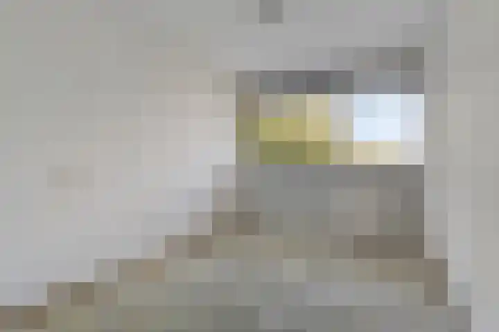 Nieuwe Damlaan 433 Schiedam thumbnail 13