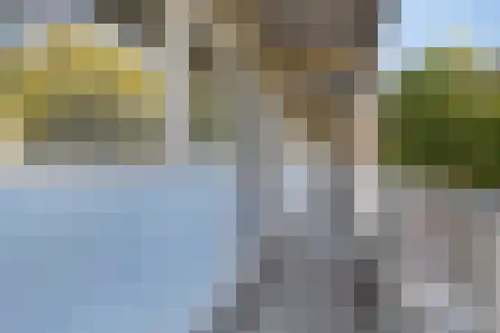 Nieuwe Damlaan 433 Schiedam thumbnail 20