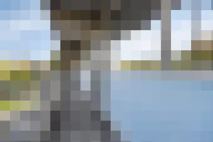 Nieuwe Damlaan 433 Schiedam thumbnail 21