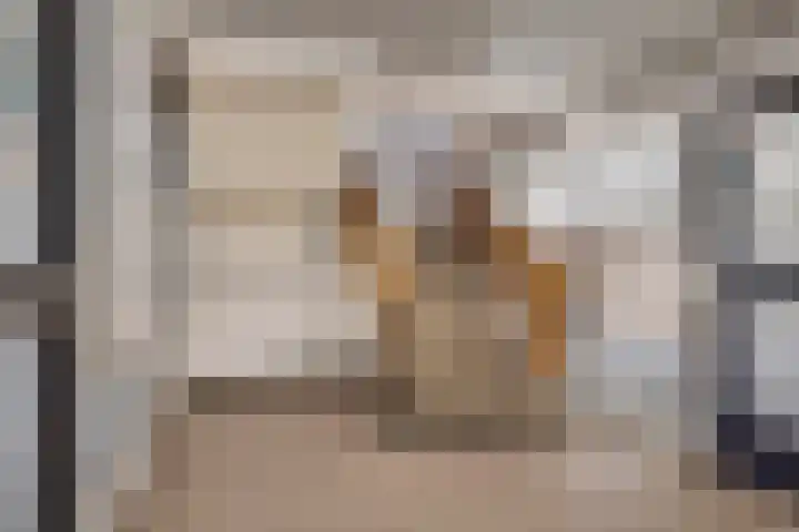 Nieuwe Damlaan 433 Schiedam thumbnail 25
