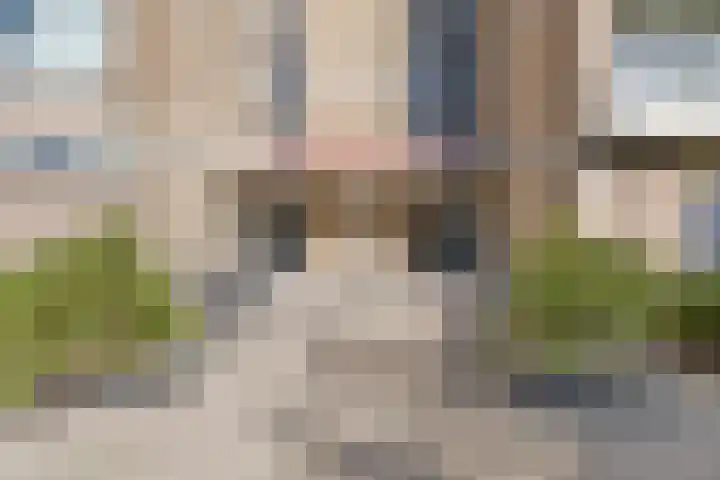 Nieuwe Damlaan 433 Schiedam thumbnail 26